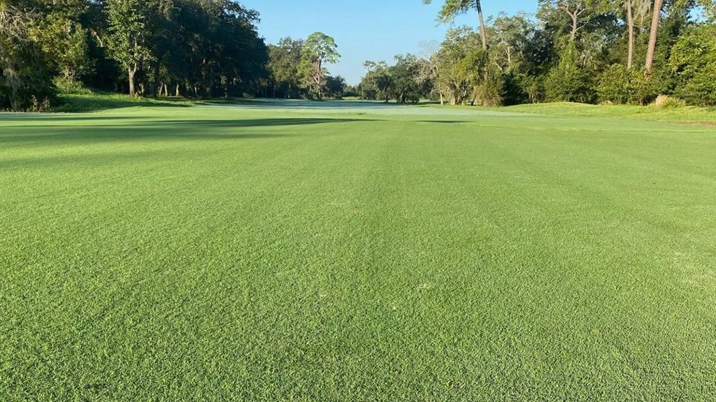 Blue Cypress fairway